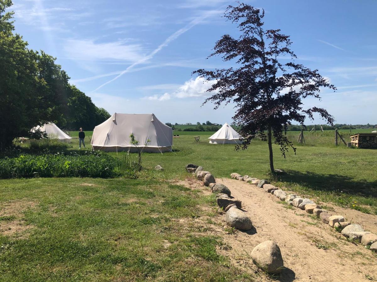 Helles Have Glamping Hotel Stege Buitenkant foto