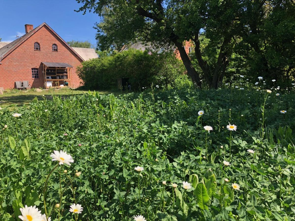 Helles Have Glamping Hotel Stege Buitenkant foto