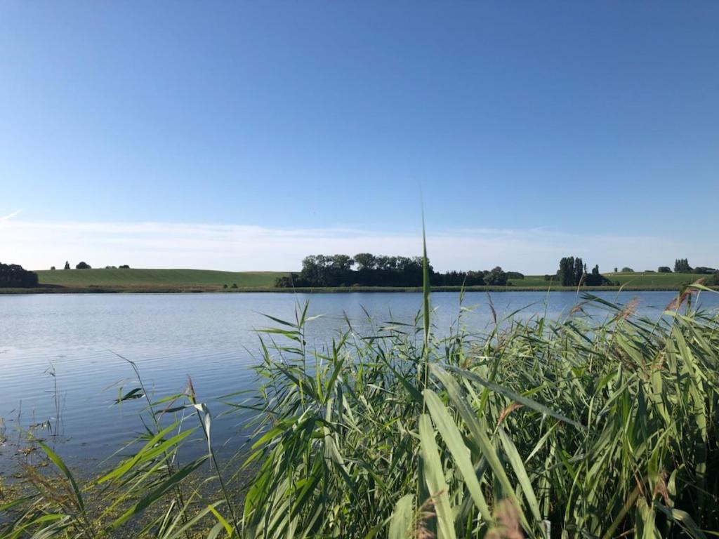 Helles Have Glamping Hotel Stege Buitenkant foto
