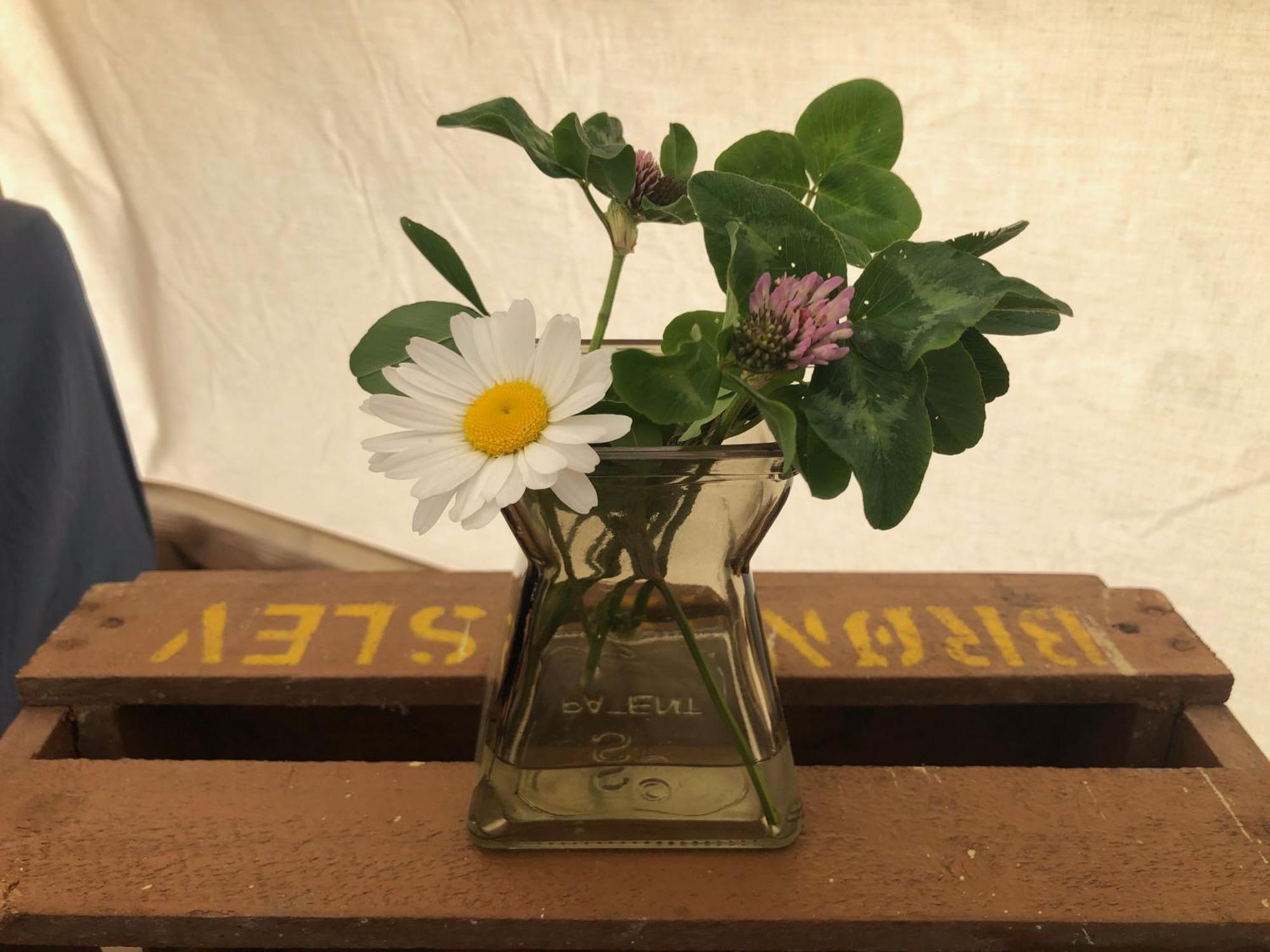 Helles Have Glamping Hotel Stege Buitenkant foto